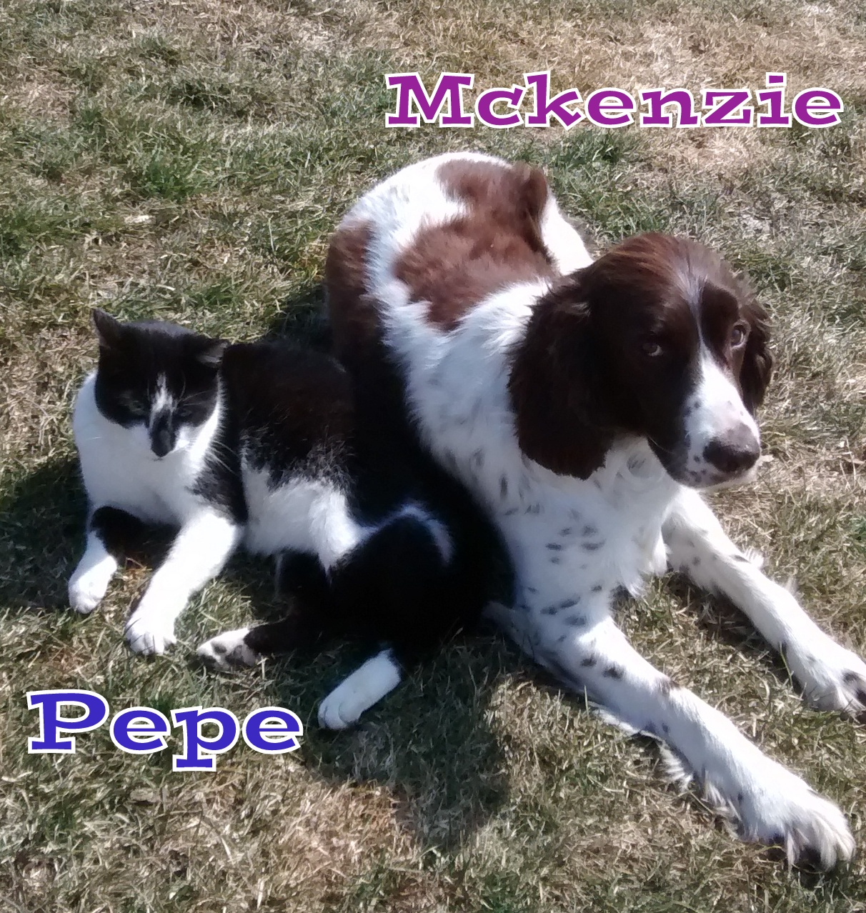McKenzey & Pepe