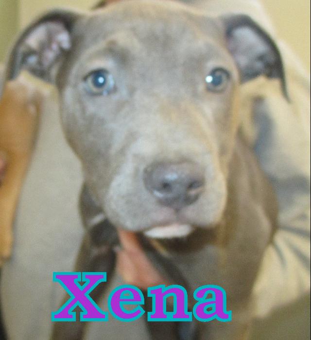 Xena