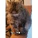 Thumbnail of photo in album