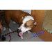 Thumbnail of photo in album
